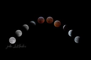 Lunar Eclipse Composite by Jodie LeMaster