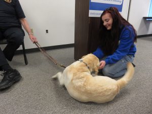 South Hills students meet service dogs from Service Paws of Central PA.