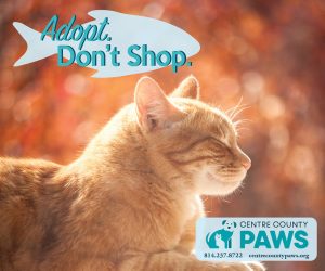 "Adopt, Don't Shop!" Web Banner